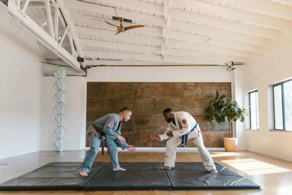 jiu jitsu bresilien